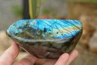 Polished Labradorite Standing Free Forms With Intense Blue & Gold Flash x 3 From Tulear, Madagascar - TopRock