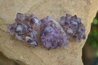 Natural Spirit Amethyst Quartz Crystal Specimens  x 35 From Boekenhouthoek, South Africa - Toprock Gemstones and Minerals 