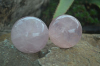 Polished Gemmy Pink Rose Quartz Spheres  x 6 From Ambatondrazaka, Madagascar - Toprock Gemstones and Minerals 