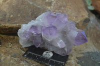 Natural Jacaranda Amethyst Clusters  x 3 From Mumbwa, Zambia - Toprock Gemstones and Minerals 