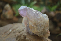 Natural Jacaranda Amethyst Clusters  x 3 From Zambia - TopRock