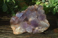 Natural Jacaranda Amethyst Cluster x 1 From Mumbwa, Zambia - TopRock