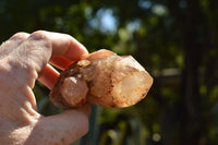 Natural Cascading White Phantom Smokey Quartz Clusters  x 6 From Luena, Congo - TopRock