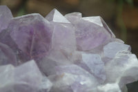 Natural Large Jacaranda Amethyst Crystal Cluster  x 1 From Mumbwa, Zambia - Toprock Gemstones and Minerals 