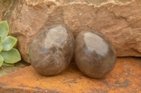 Polished Large Morion Smokey Quartz Eggs x 4 From Madagascar - TopRock