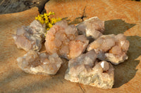 Natural Spirit Cactus Quartz Clusters With Limonite Colouring  x 6 From Boekenhouthoek, South Africa - TopRock