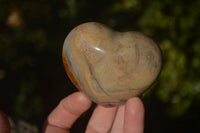 Polished Polychrome Jasper Hearts  x 6 From Mahajanga, Madagascar