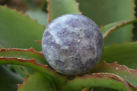 Polished Purple Lepidolite Spheres  x 6 From Madagascar