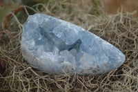 Polished Blue Celestite Standing Free Forms  x 2 From Sakoany, Madagascar - Toprock Gemstones and Minerals 