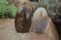 Polished Lovely Mix Of Agate Standing Free Forms  x 6 From Madagascar - Toprock Gemstones and Minerals 