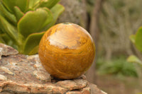 Polished Pair Of Polychrome & Ocean Jasper Spheres  x 2 From Madagascar - TopRock