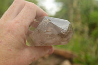 Polished Large Smokey Window Quartz Crystals  x 2 From Akansobe, Madagascar - TopRock