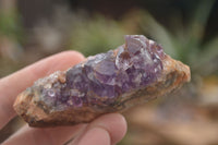 Natural Amethyst & Crystal Centred Geodes  x 12 From Zululand, South Africa - TopRock