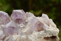 Natural Jacaranda Amethyst Quartz Cluster  x 1 From Zambia - TopRock