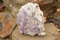 Natural Jacaranda Amethyst Quartz Cluster  x 1 From Zambia - TopRock