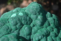 Natural Extra Large Crystalline Botryoidal Malachite Specimen  x 1 From Kasompe, Congo - Toprock Gemstones and Minerals 