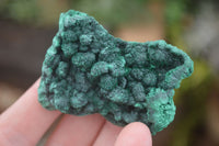 Natural Chatoyant Silky Malachite Specimens  x 12 From Kasompe, Congo - Toprock Gemstones and Minerals 