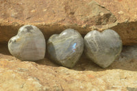 Polished Purple Flash Labradorite Hearts x 6 From Tulear, Madagascar - TopRock