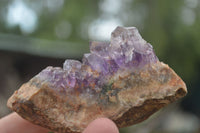 Natural Amethyst & Crystal Centred Geodes  x 12 From Zululand, South Africa - TopRock