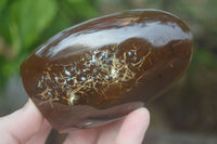 Polished Lovely Mix Of Agate Standing Free Forms  x 6 From Madagascar - Toprock Gemstones and Minerals 