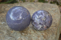 Polished Purple Lepidolite Spheres  x 6 From Madagascar