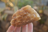 Natural Honey Aragonite Etched & Cobbed Pieces  x 6 From Namibia