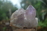 Natural Jacaranda Amethyst Clusters  x 3 From Zambia - TopRock