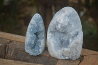 Polished Blue Celestite Standing Free Forms  x 2 From Sakoany, Madagascar - Toprock Gemstones and Minerals 