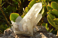 Natural Single Large Quartz Crystals  x 2 From Mandrosonoro, Madagascar - TopRock