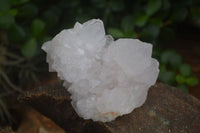 Natural White Spirit Cactus Quartz Clusters  x 6 From Boekenhouthoek, South Africa - Toprock Gemstones and Minerals 