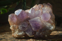 Natural Jacaranda Amethyst Cluster x 1 From Mumbwa, Zambia - TopRock