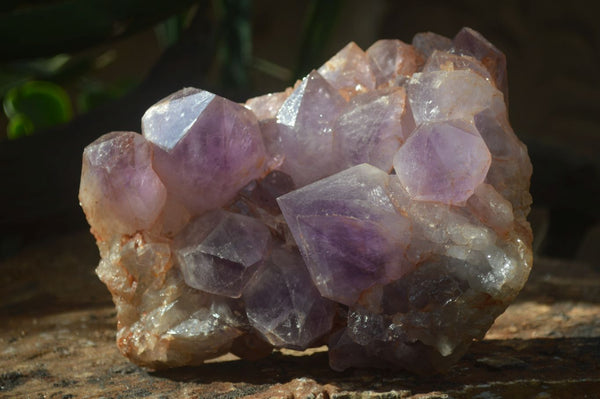 Natural Jacaranda Amethyst Cluster x 1 From Mumbwa, Zambia - TopRock