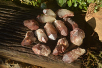 Natural Red Hematoid Quartz Specimens x 12 From Karoi, Zimbabwe