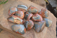 Polished One Side Polished Polychrome Jasper Nodules  x 12 From Madagascar - Toprock Gemstones and Minerals 