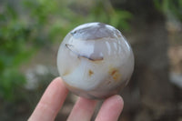 Polished Mixed Agate Spheres  x 6 From Madagascar