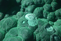 Natural Extra Large Crystalline Botryoidal Malachite Specimen  x 1 From Kasompe, Congo - Toprock Gemstones and Minerals 