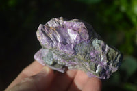 Natural Purple Stichtite Cobbed Specimens  x 12 From Barberton, South Africa - Toprock Gemstones and Minerals 