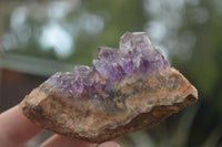 Natural Amethyst & Crystal Centred Geodes  x 12 From Zululand, South Africa - TopRock