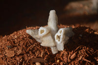 Natural Drusy Coated Quartz x 24 From Alberts Mountain, Lesotho