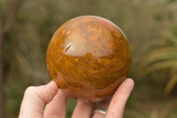 Polished Pair Of Polychrome & Ocean Jasper Spheres  x 2 From Madagascar - TopRock