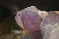 Natural Jacaranda Amethyst Cluster x 1 From Mumbwa, Zambia - TopRock