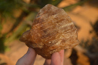 Natural Honey Aragonite Etched & Cobbed Pieces  x 6 From Namibia