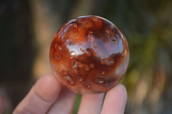 Polished Carnelian Agate Spheres  x 6 From Madagascar - Toprock Gemstones and Minerals 