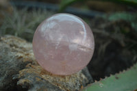 Polished Gemmy Pink Rose Quartz Spheres  x 6 From Ambatondrazaka, Madagascar - Toprock Gemstones and Minerals 