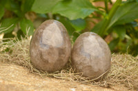 Polished Large Morion Smokey Quartz Eggs x 4 From Madagascar - TopRock