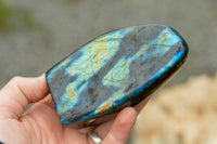 Polished Labradorite Standing Free Forms With Intense Blue & Gold Flash x 3 From Tulear, Madagascar - TopRock