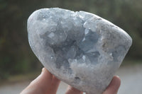 Polished Blue Celestite Standing Free Forms  x 2 From Sakoany, Madagascar - Toprock Gemstones and Minerals 