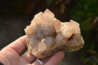 Natural Spirit Cactus Quartz Clusters With Limonite Colouring  x 6 From Boekenhouthoek, South Africa - TopRock