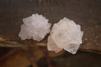 Natural Single White Cactus Quartz Crystals x 70 From Boekenhouthoek, South Africa