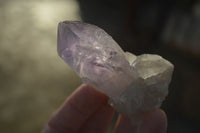 Natural Jacaranda Amethyst Single Crystal Specimens x 12 From Mumbwe, Zambia